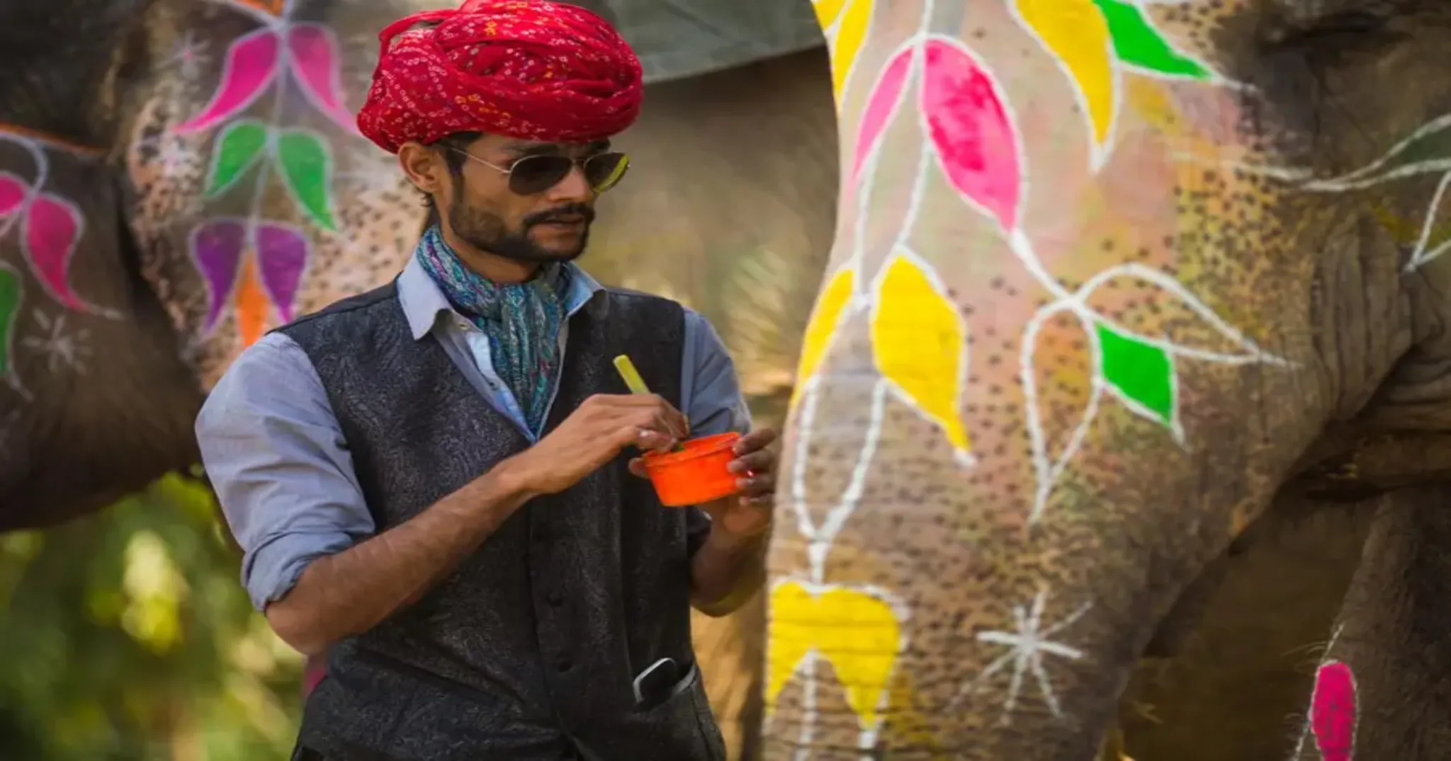 Elephant Painting Experience